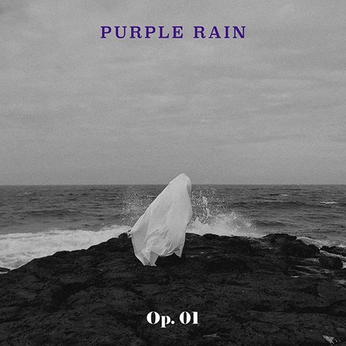퍼플레인 (PURPLE RAIN) - 1st EP [작품번호 1번] (Op. 01)