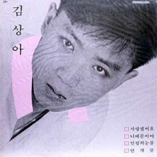 김상아 - 사랑했어요,너 때문이야,인형의 눈물,안개꽃 [LP판]