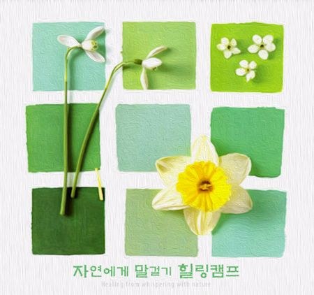 Various Artists - 자연에게 말걸기 힐링캠프(Healing From Whispering With Nature)(2Disc)