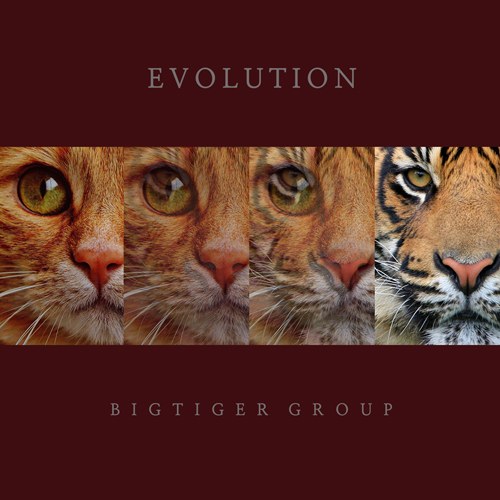 빅타이거 그룹 (Bigtiger Group) - Evolution