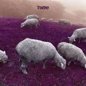 어텐션 24 (Attention 24) - 2nd EP [Purple]