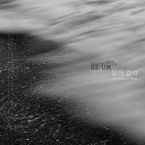 뮤직그룹 세움 (Music Group SE:UM) - [물의 감각 : The Sense of Water]