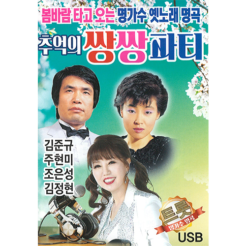 추억의 쌍쌍파티 (USB) 