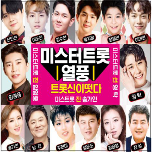 미스터트롯 열풍 트롯신이 떳다 (2CD)