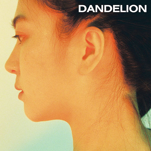 댄딜라이언 (Dandelion) - 0530