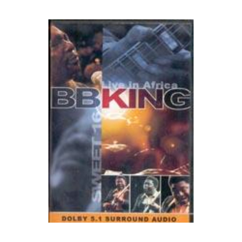 비비킹 - Live in Africa