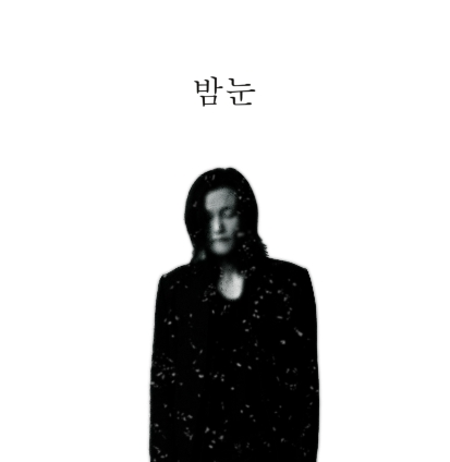 봉권 - 밤눈