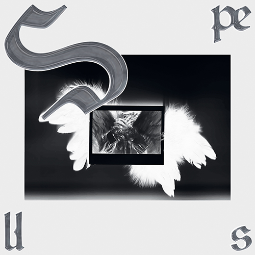 한정인 (HAN JUNG IN) - Spells