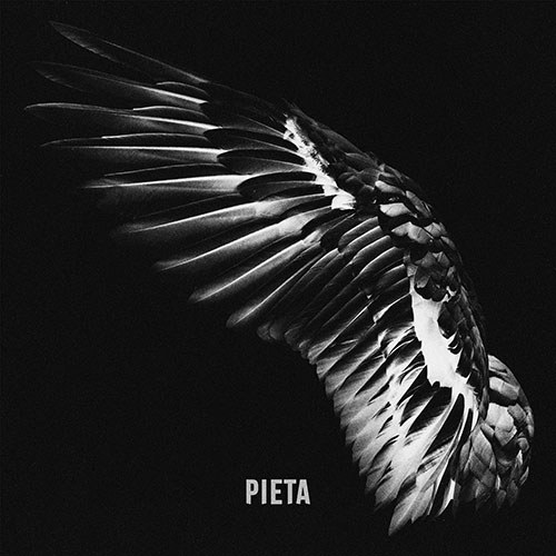 피에타 (PIETA) - [동정에 대하여]