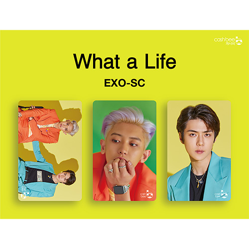 [3종세트] 세훈&찬열(EXO-SC) - 캐시비 교통카드