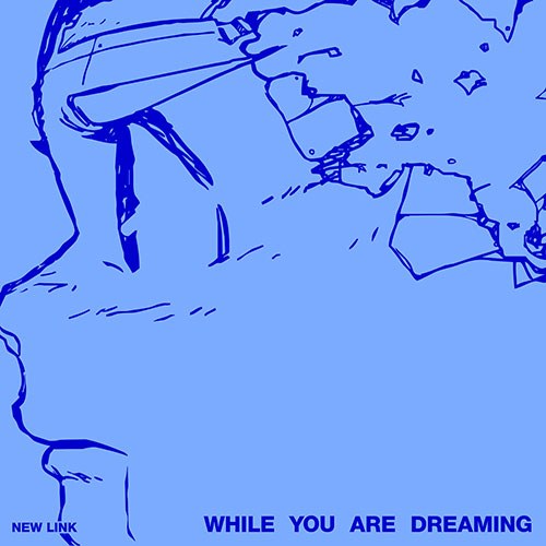 뉴 링크 (New Link) - While You Are Dreaming 