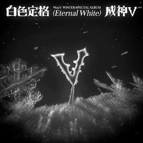 [세트/앨범2종] 웨이션브이 (WayV) - Winter Special Album  [白色定格 (Eternal White)] (Photo Book Ver.)