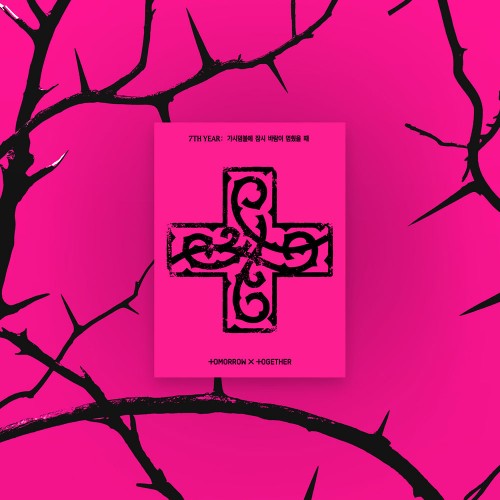 [애플특전][세트/앨범5종] 투모로우바이투게더 (TXT) - TOMORROW X TOGETHER 7TH YEAR: 가시덤불에 잠시 바람이 멈췄을 때(PPULBATU Ver.)(Weverse Albums ver.)