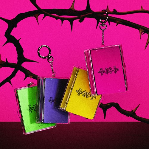 [애플특전][세트/앨범4종] 투모로우바이투게더 (TXT) - TOMORROW X TOGETHER 7TH YEAR: 가시덤불에 잠시 바람이 멈췄을 때(Photocard Case Ver.)