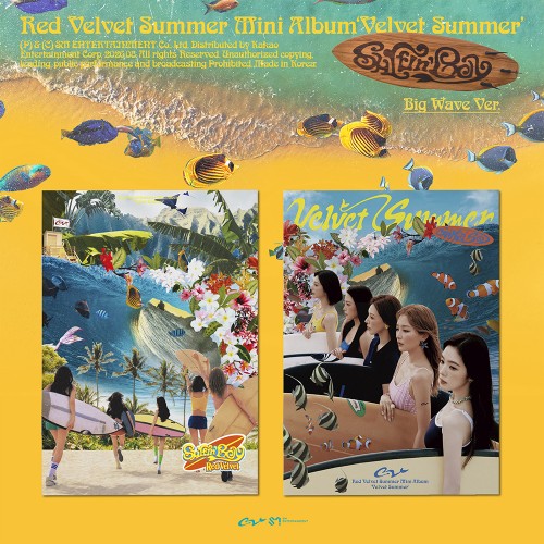 [슬기][8/22 영상통화] 레드벨벳 (Red Velvet) - 여름 미니앨범 [Velvet Summer] (Big Wave Ver.)